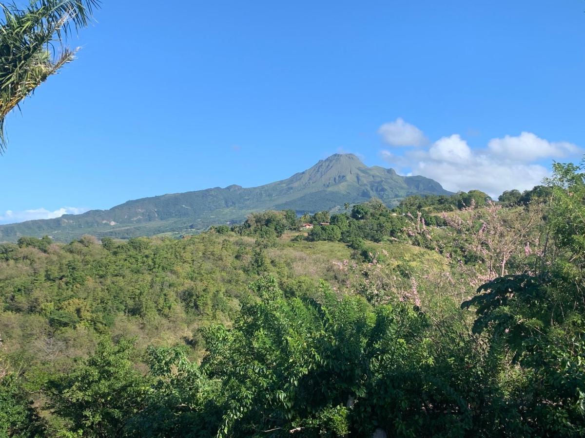 Lodge Colibris Piscine Privee Vue Panoramique Mer Et Montagne Pelee , 500 M Plage Dans Un Parc , Calme Assure Ideal Pour Decouvrir Le Nord Caraibes ลาการ์เบต์ ภายนอก รูปภาพ