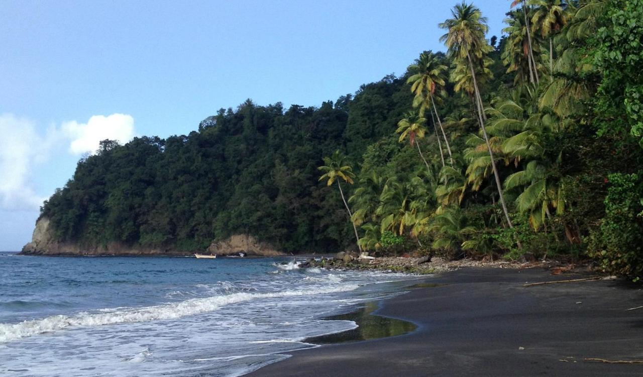 Lodge Colibris Piscine Privee Vue Panoramique Mer Et Montagne Pelee , 500 M Plage Dans Un Parc , Calme Assure Ideal Pour Decouvrir Le Nord Caraibes ลาการ์เบต์ ภายนอก รูปภาพ