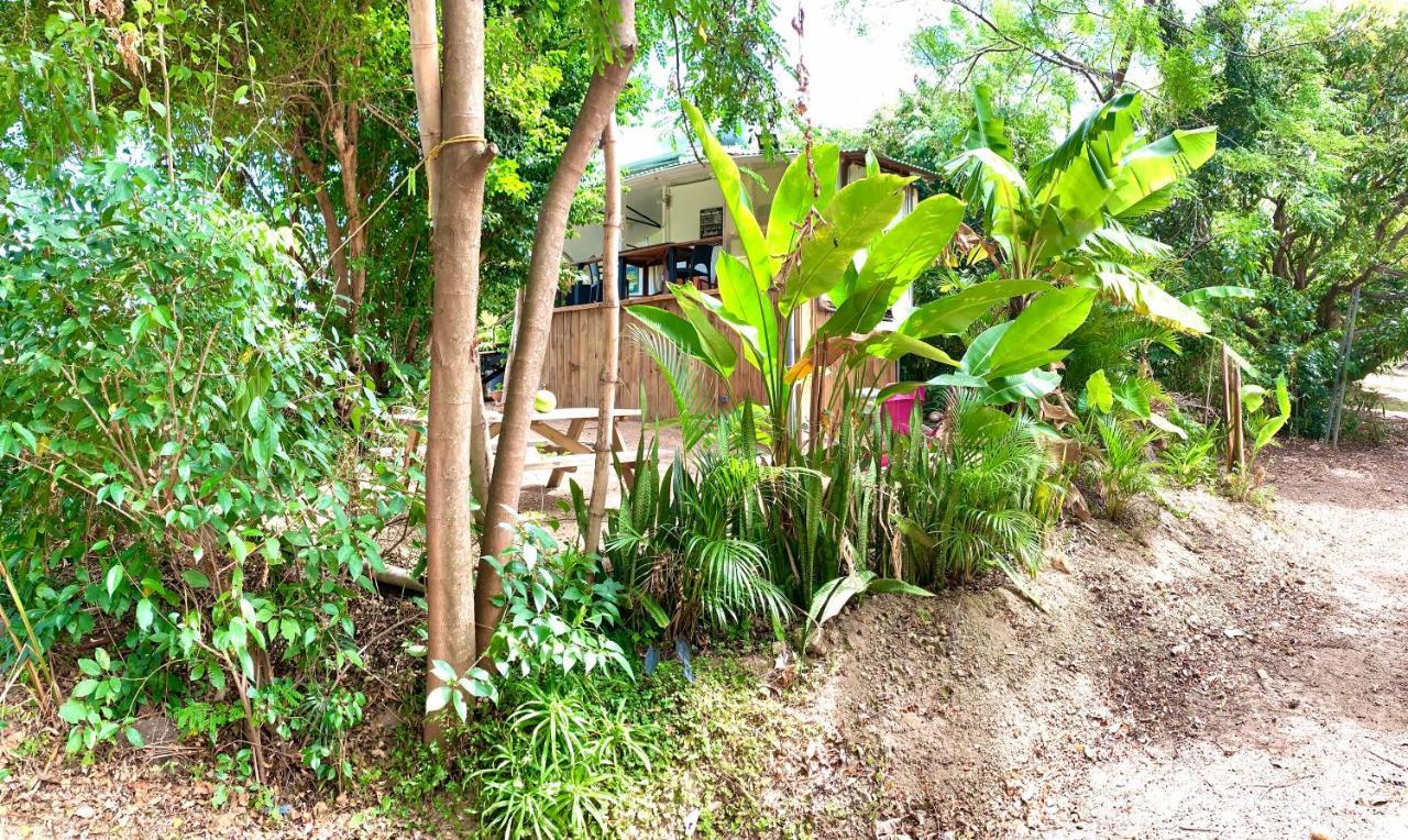 Lodge Colibris Piscine Privee Vue Panoramique Mer Et Montagne Pelee , 500 M Plage Dans Un Parc , Calme Assure Ideal Pour Decouvrir Le Nord Caraibes ลาการ์เบต์ ภายนอก รูปภาพ