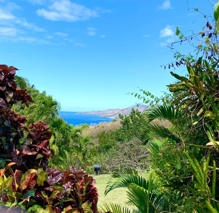 Lodge Colibris Piscine Privee Vue Panoramique Mer Et Montagne Pelee , 500 M Plage Dans Un Parc , Calme Assure Ideal Pour Decouvrir Le Nord Caraibes ลาการ์เบต์ ภายนอก รูปภาพ