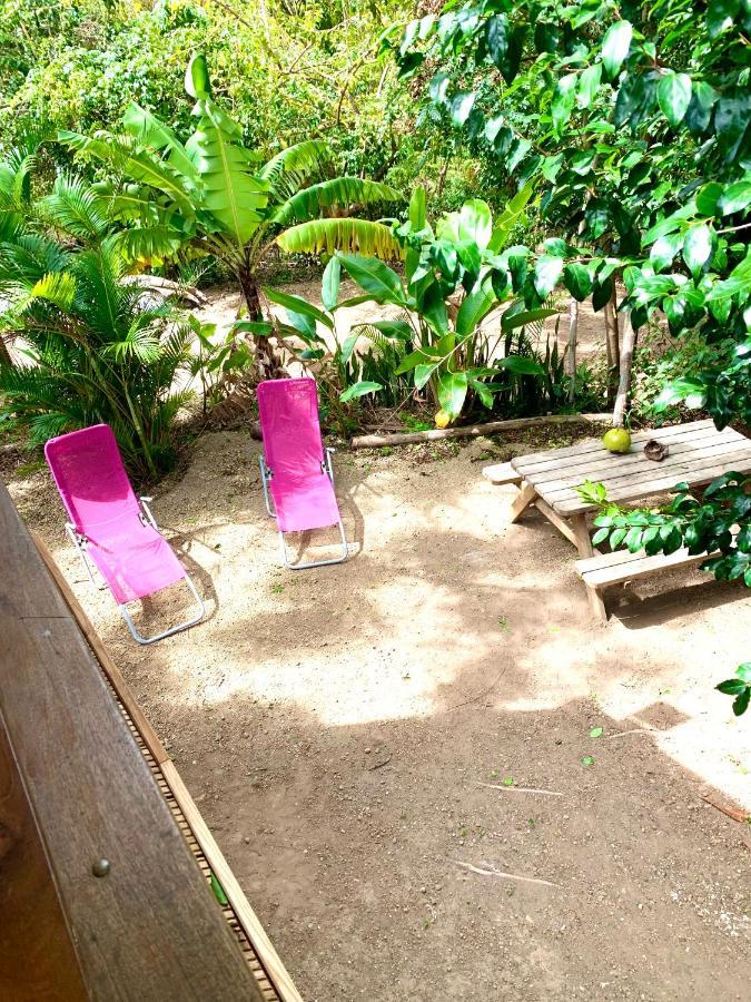 Lodge Colibris Piscine Privee Vue Panoramique Mer Et Montagne Pelee , 500 M Plage Dans Un Parc , Calme Assure Ideal Pour Decouvrir Le Nord Caraibes ลาการ์เบต์ ภายนอก รูปภาพ