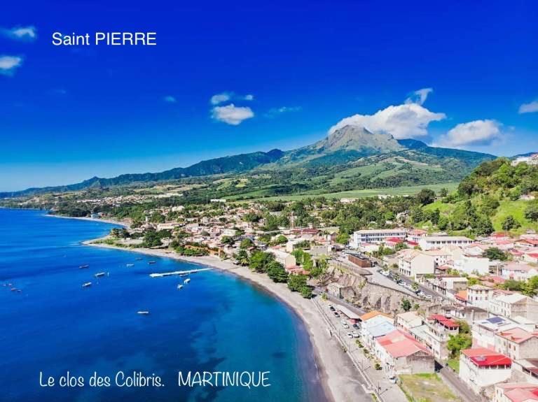 Lodge Colibris Piscine Privee Vue Panoramique Mer Et Montagne Pelee , 500 M Plage Dans Un Parc , Calme Assure Ideal Pour Decouvrir Le Nord Caraibes ลาการ์เบต์ ภายนอก รูปภาพ